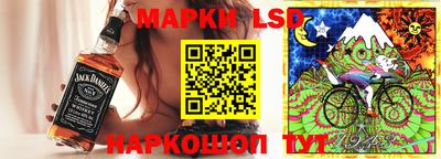 крисы Беслан
