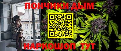 крисы Беслан