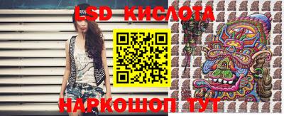 крисы Беслан