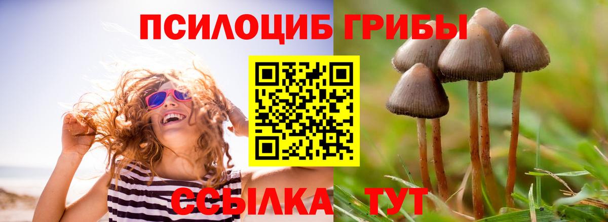 Псилоцибиновые грибы GOLDEN TEACHER Зерноград